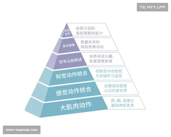 青坊主背后的力量源泉及其深层次的文化与社会意义探析 青坊主背后的力量源泉及其深层次的文化与社会意义探析